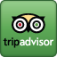 64x64 green tripadvisor